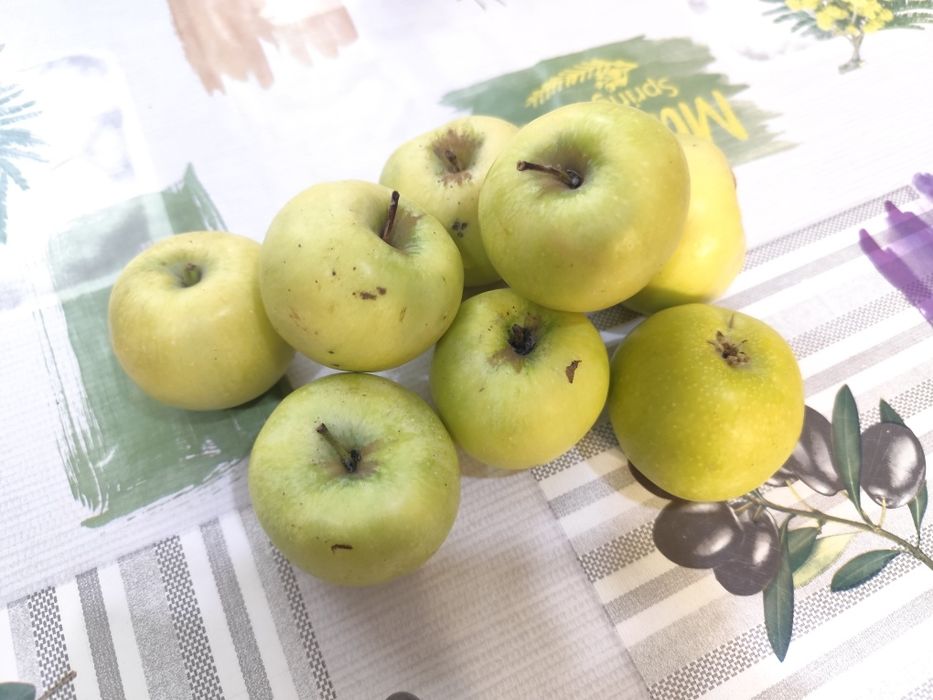 Мелкое Яблоки семеренка яблука