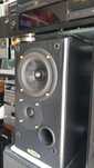 Colunas monitoras Ruark