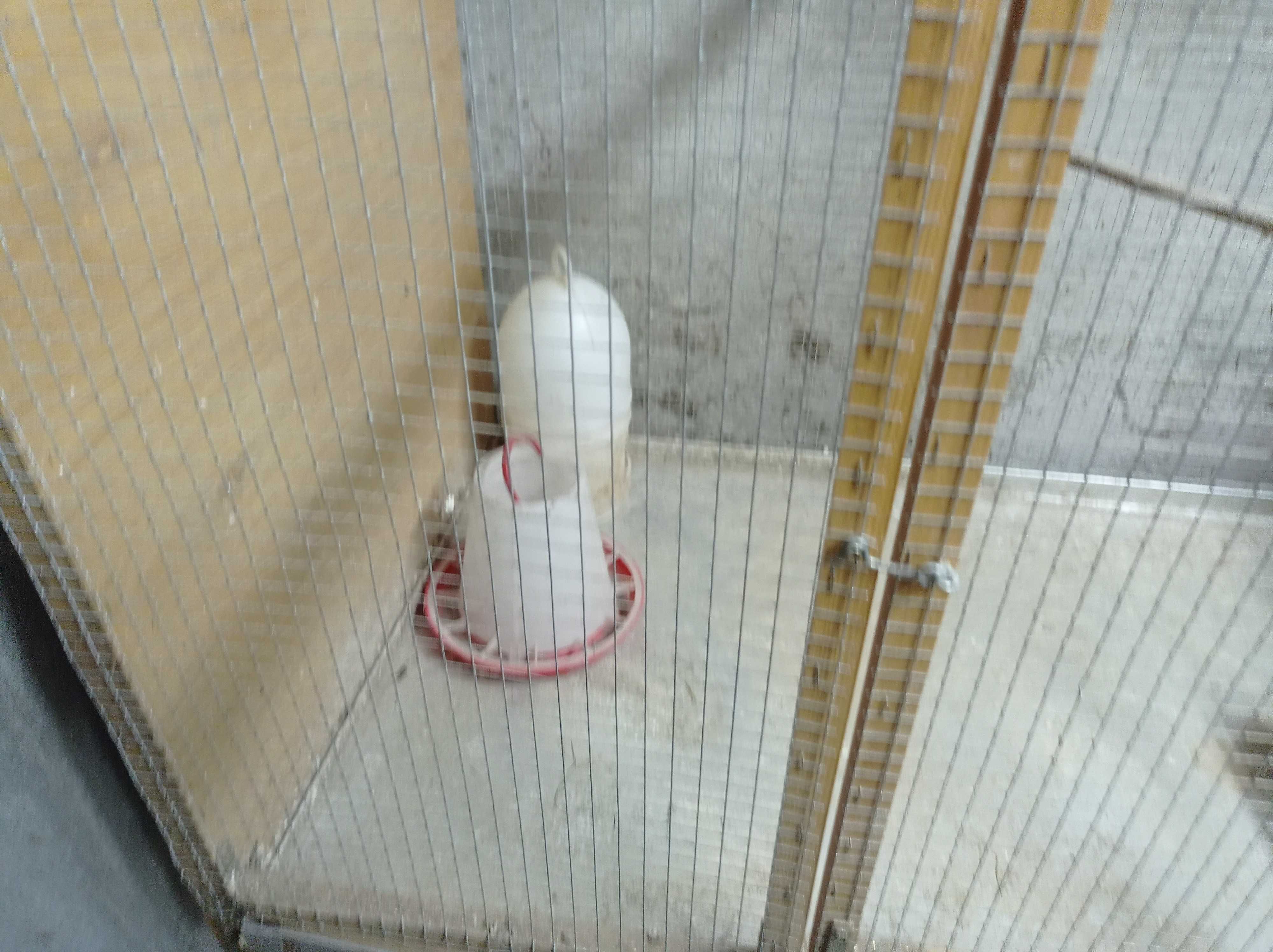 Klatka dla ptaków, gryzoni, z wysuwaną kuwetą.