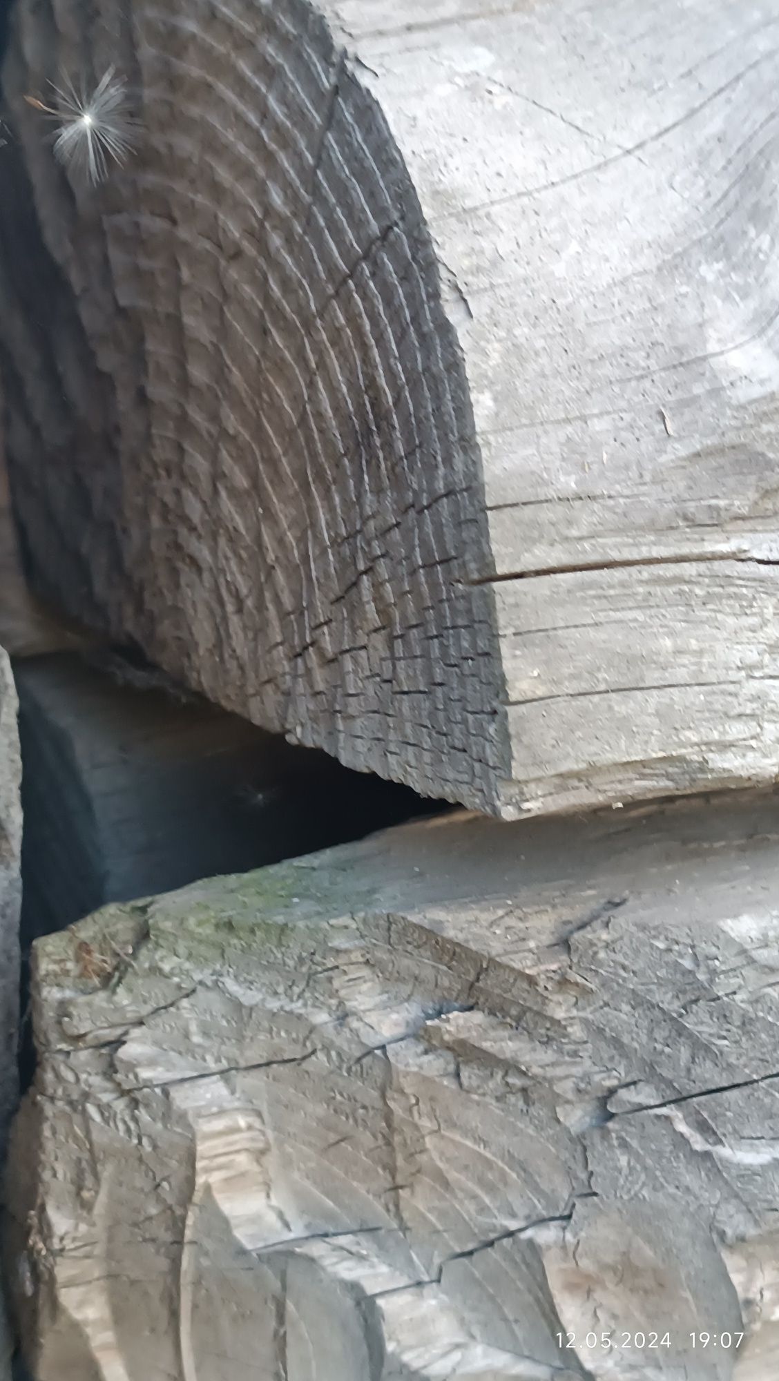 Дерево розібрана хата