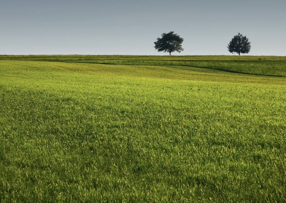 Działki rekreacyjno rolne 66 arów Moszczenica