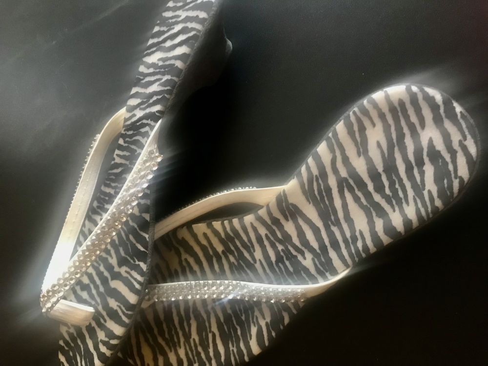 Chinelos novos zebra