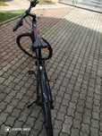 Rower Giant ISO 4220-2