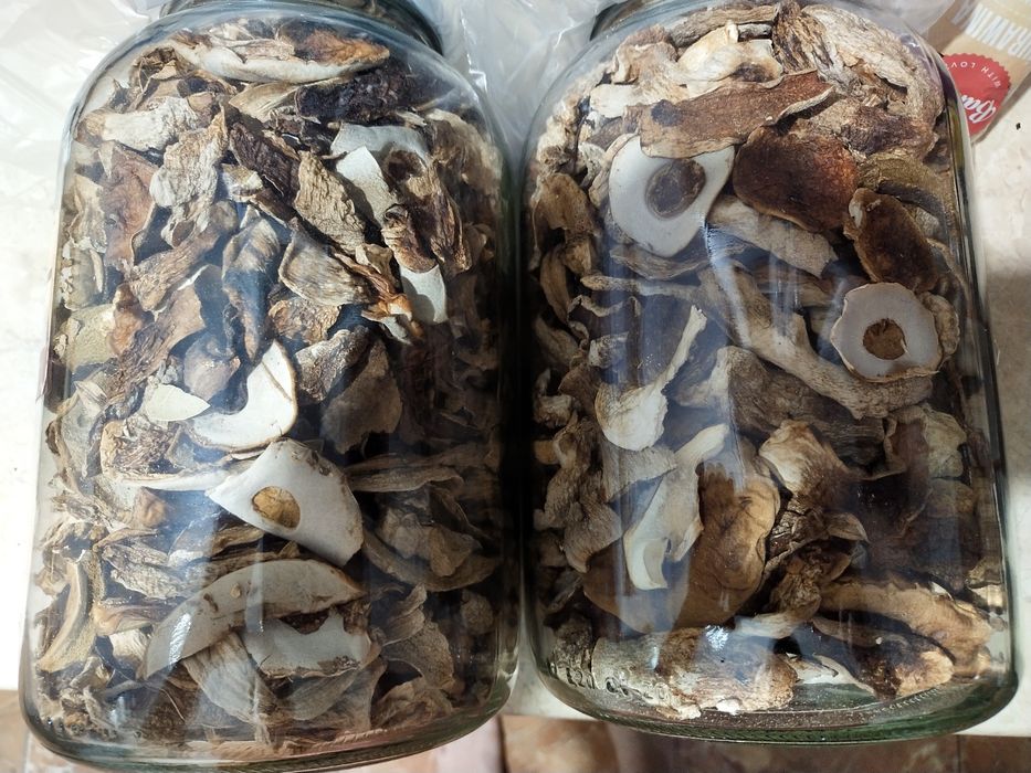 Borowik szlachetny suszony