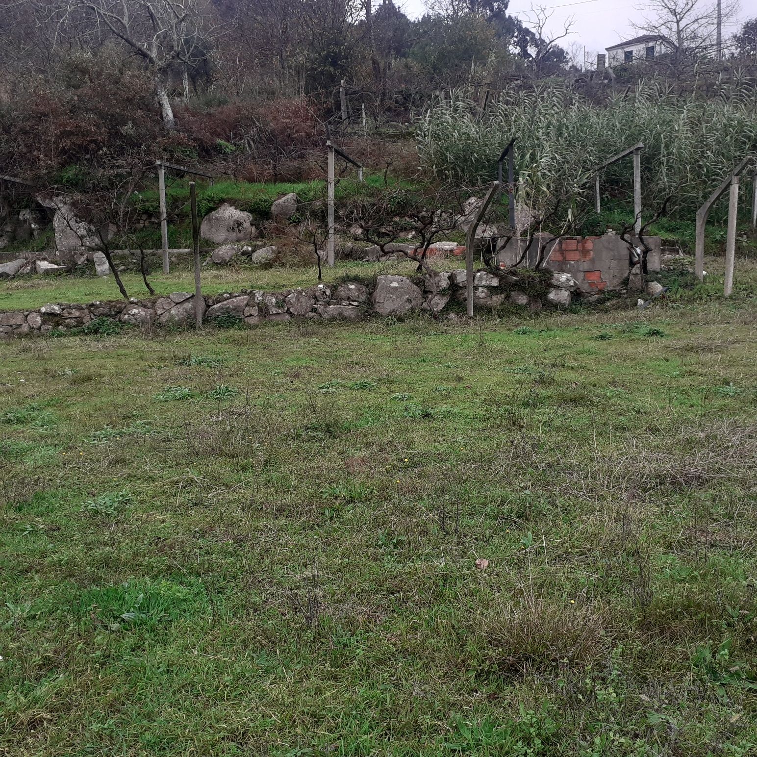 Terreno com 1300m2