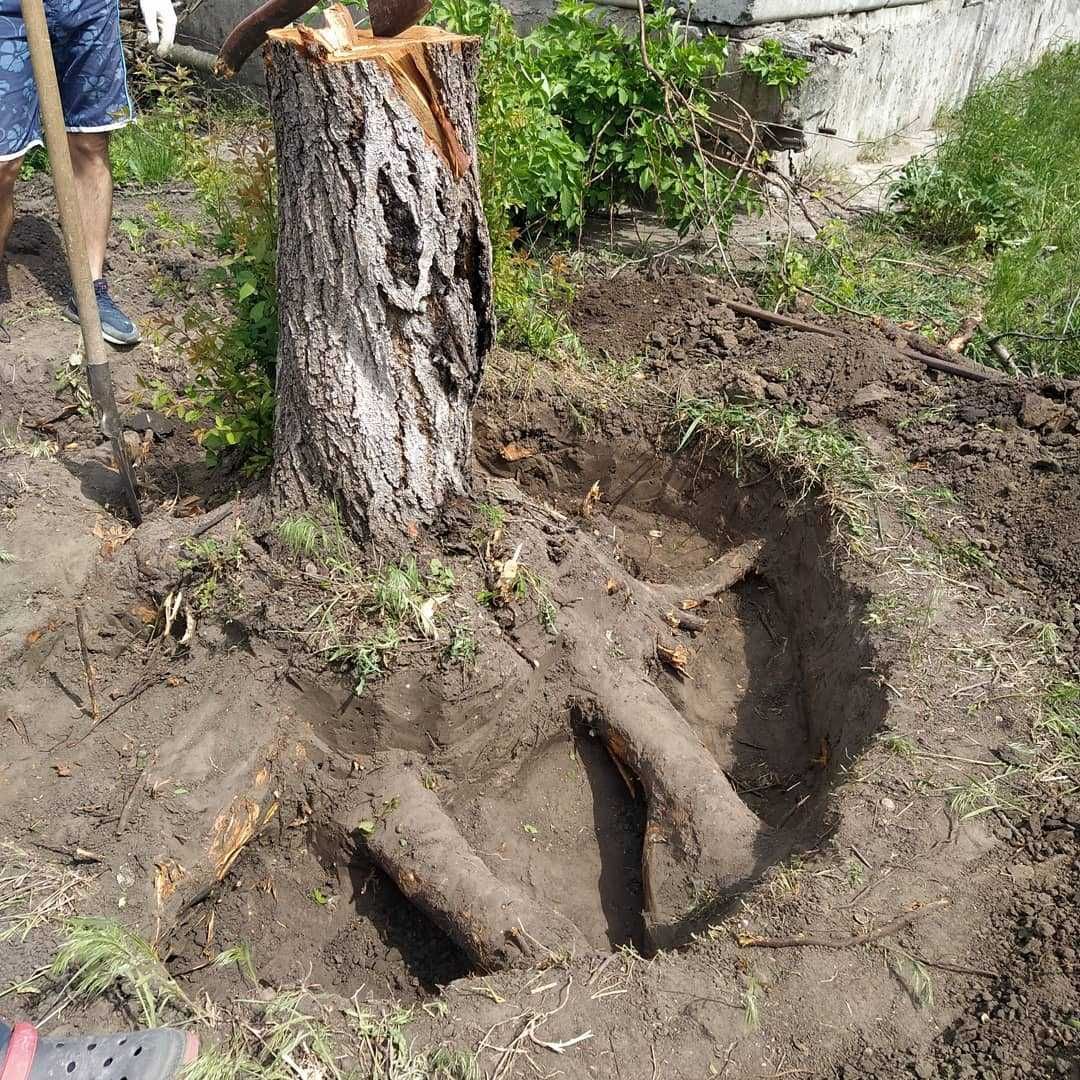Покос участка Копка огородов ям траншей/ Уборка территории Спил дерева
