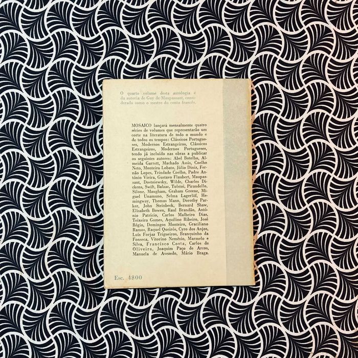 A História de Rosa Brava - José Régio