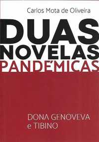 Duas novelas pandémicas_Carlos Mota de Oliveira_Edição de Autor