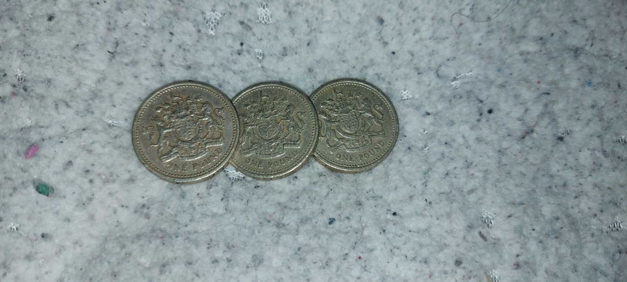 One pound 1983 Moeda antiga