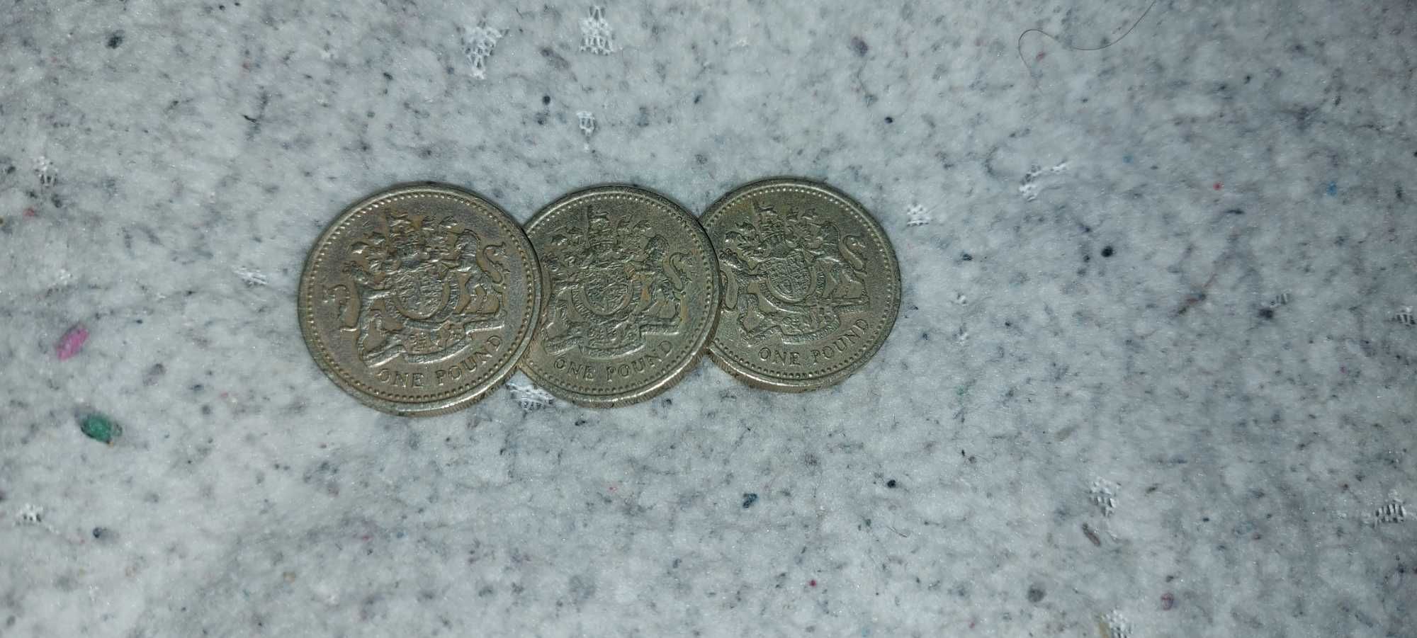 One pound 1983 Moeda antiga