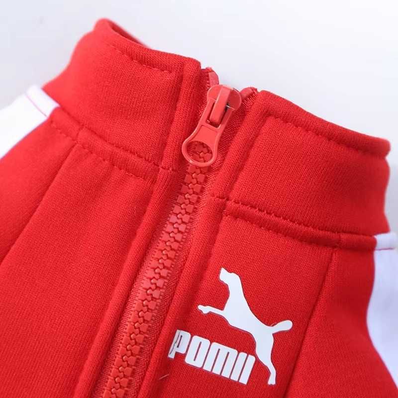 Bluza dresowa na zamek CZERWONA dla psa kota UBRANKO UBRANIE na zimę