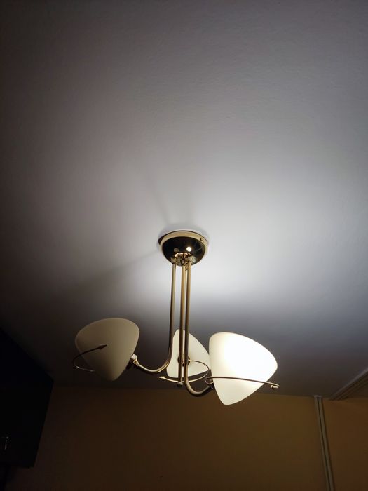 Żyrandol w kolorze złotym ze szklanymi białymi kloszami