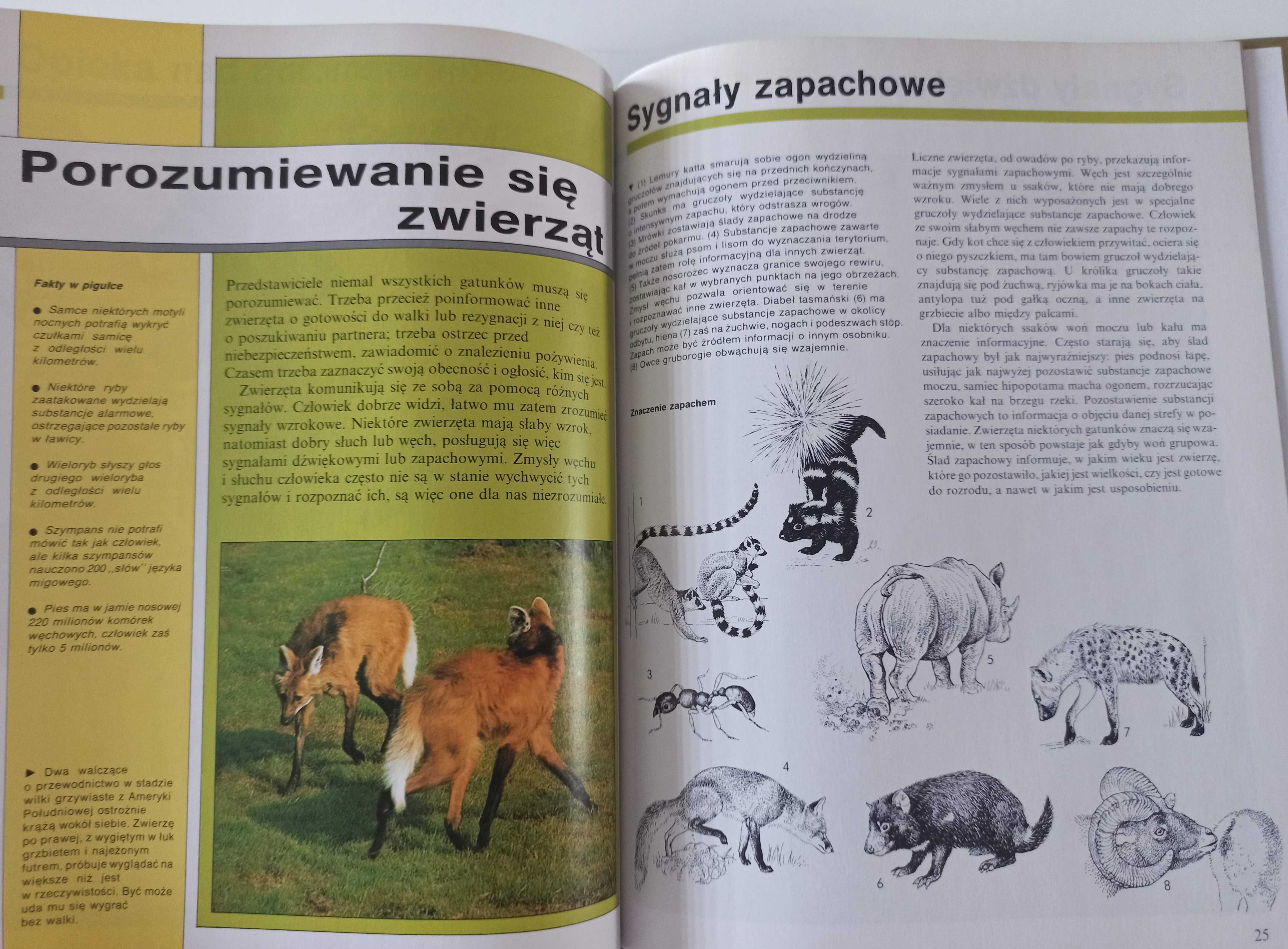 Zachowanie się zwierząt - Encyklopedia wiedzy i życia album dla dzieci