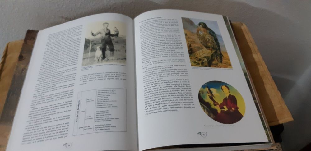 Livro- Oito Séculos de Caça em Portugal - NOVO