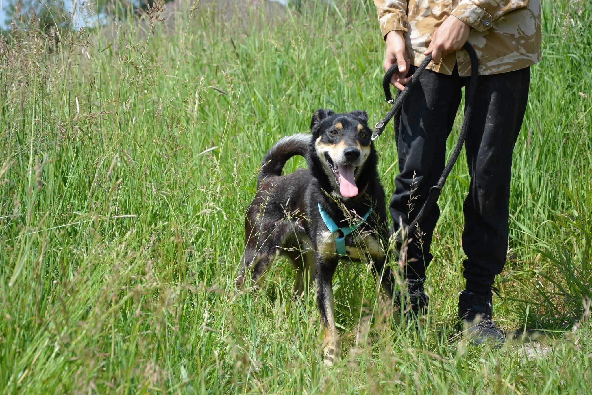 Onyx kocha wszystkich ludzi ADOPCJA