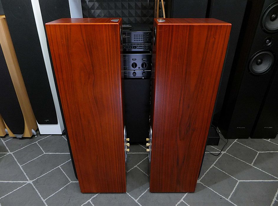 Wysokiej klasy kolumny głośnikowe MONITOR AUDIO SILVER RS8