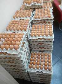 Яйця курячі категорія С1