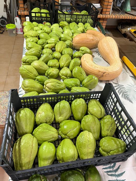 Chuchus biológicos 1€/kg