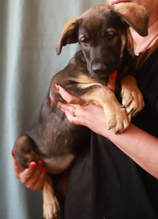 Czy mnie dostrzeżesz? Czy mi pomożesz? Bo ja tu cicho czekam..