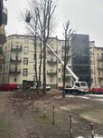 Zwyżka wynajem podnośnik koszowy do 26m