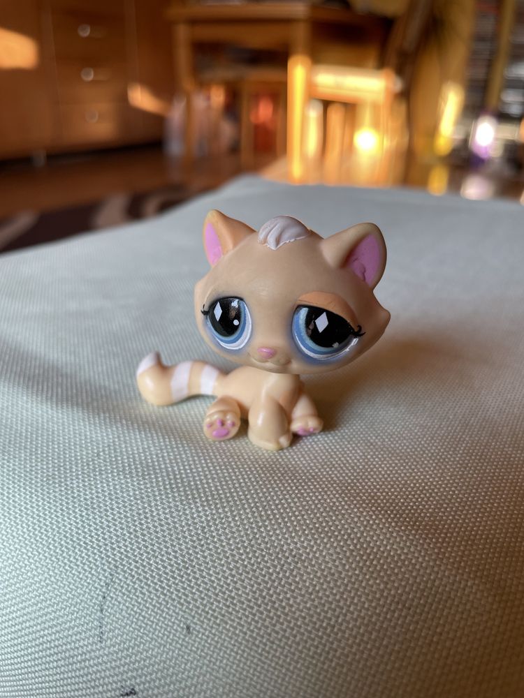 The Littlest Pet Shop - kot