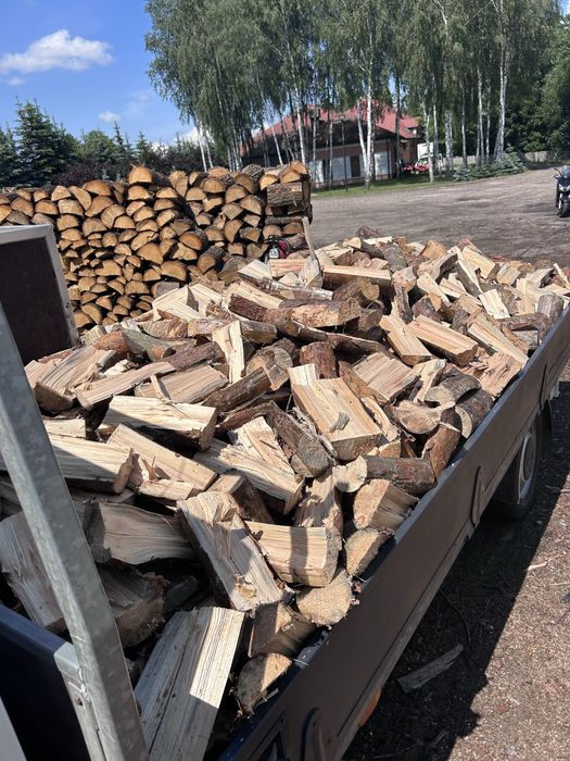 Drewno opalowe komikowe