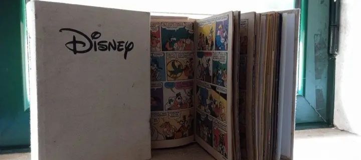 Livros Disney capa dura edição limitada almanaques e