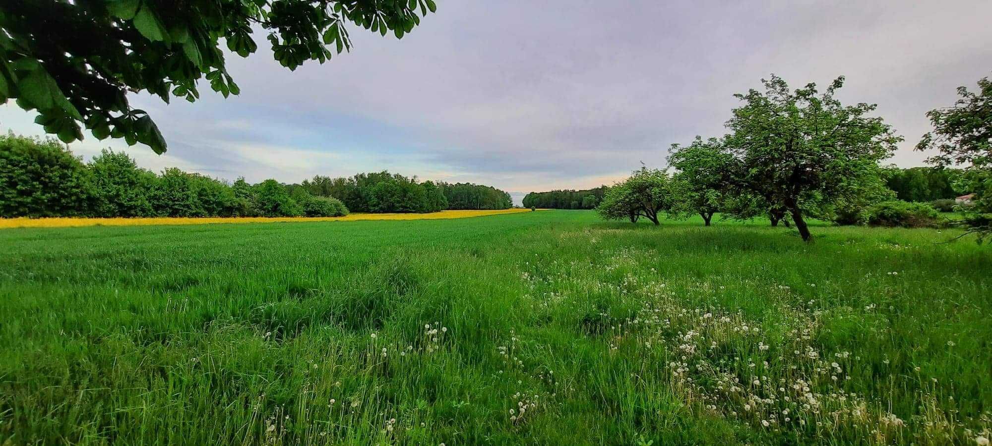 Domek całoroczny z klimatyzacją/agroturystyka Orzechówka11