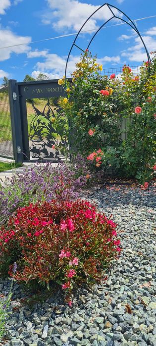 Domek rys Widokowa Ujsoly