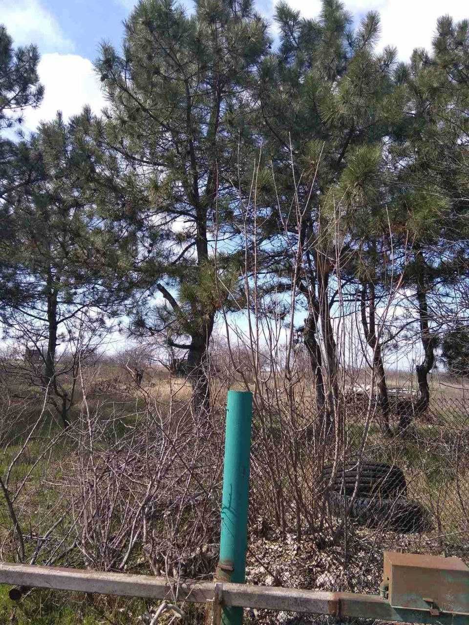 продам дачу Левшинский залив