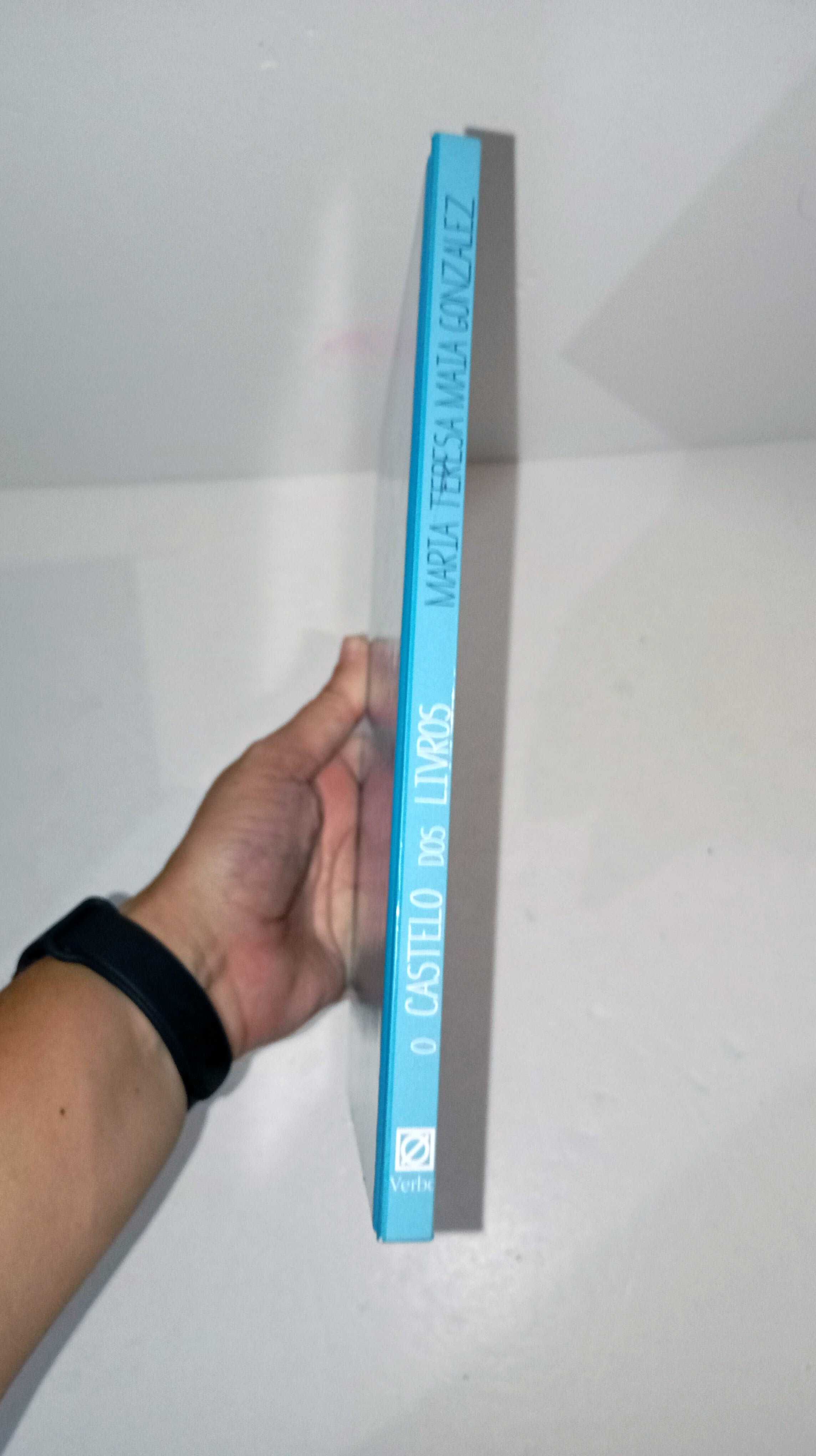 O Castelo dos Livros