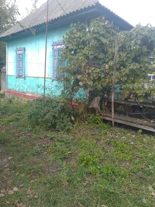 Продам будинок село Велика Дорога (Ніжин)
