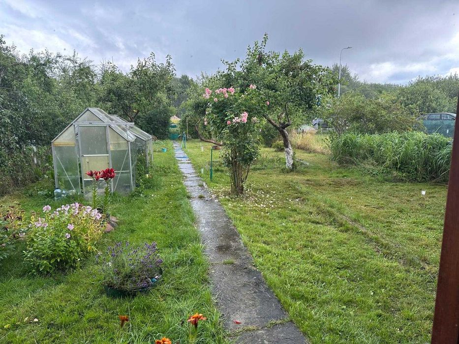 Działka ROD Kwitnących Jabłoni. Jedyna taka 450m2.