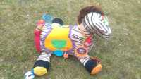 Zebra_edukacyjna zabawka dla maluszka