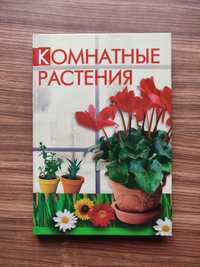 Книга Комнатные растения