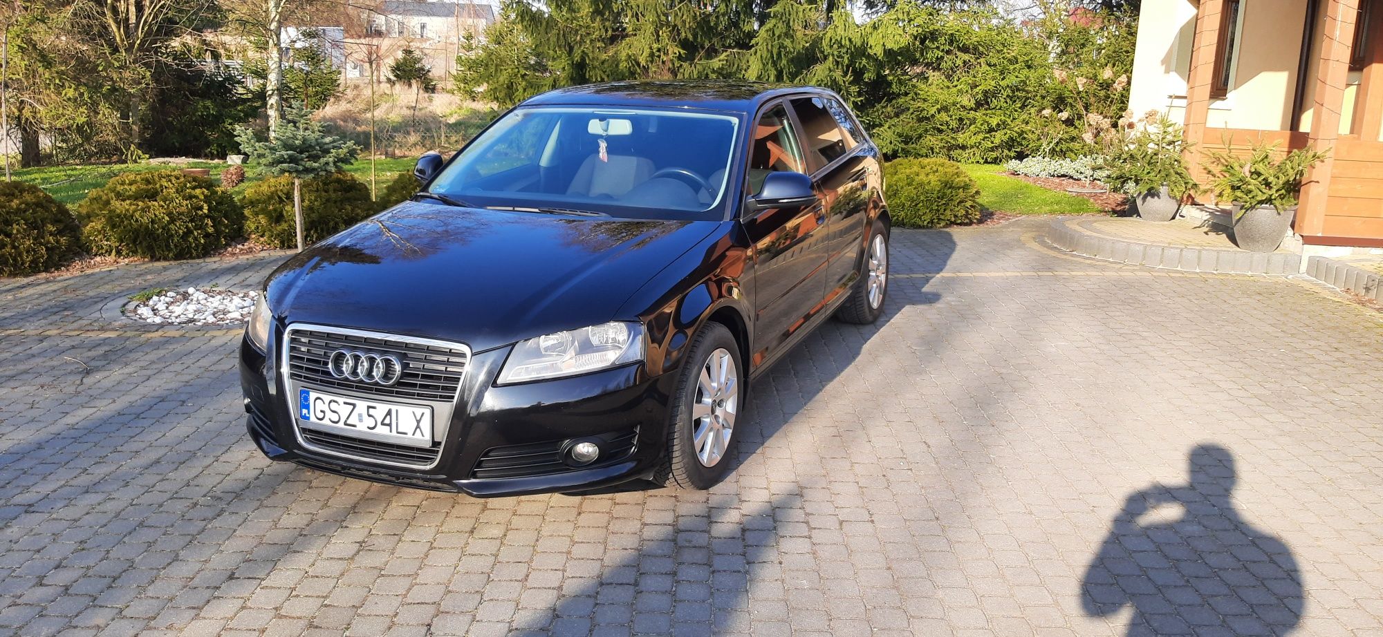Audi A3 8P 1,9 TDi 105 KM