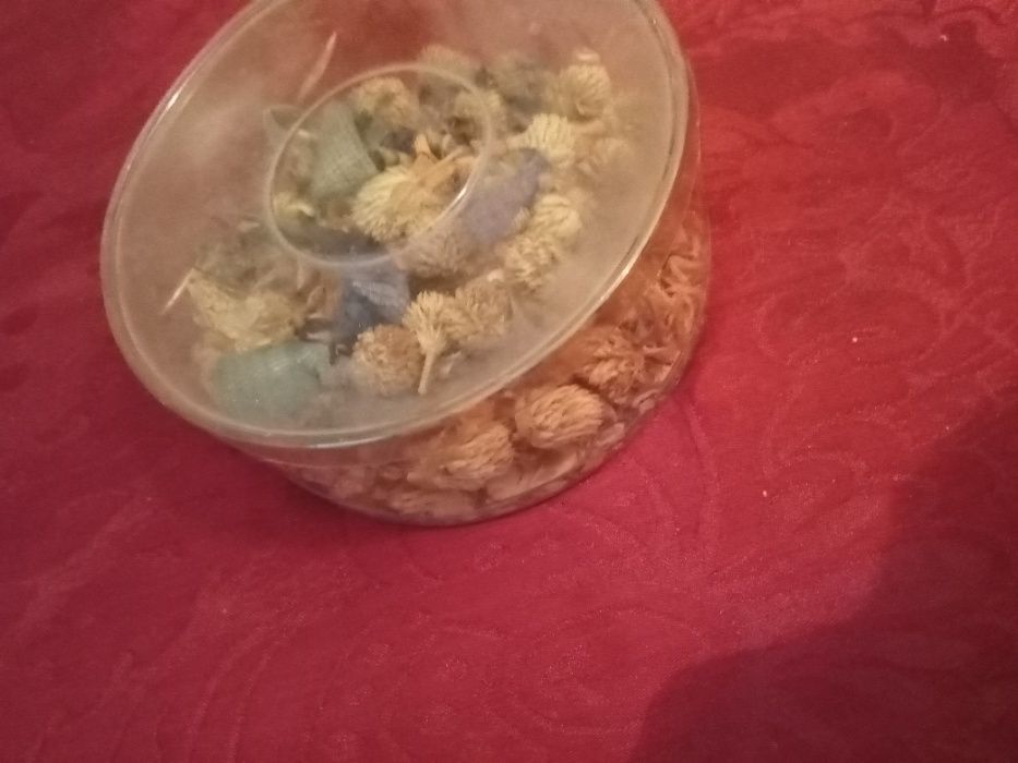 Vai querer inserir em alguem?Irrigador Intestinal Vintage10E-C3EDesde2