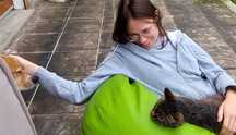 Pet sitting | Dog walking