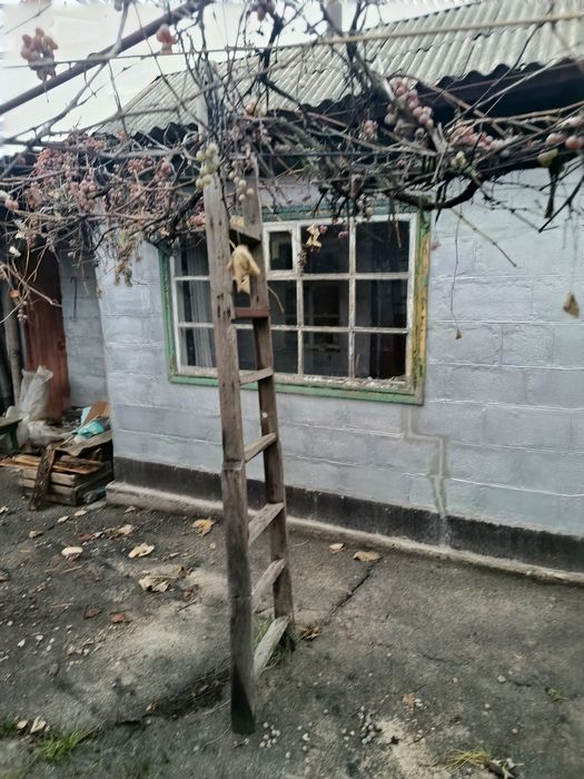 Продам будинок на В.Іванівці