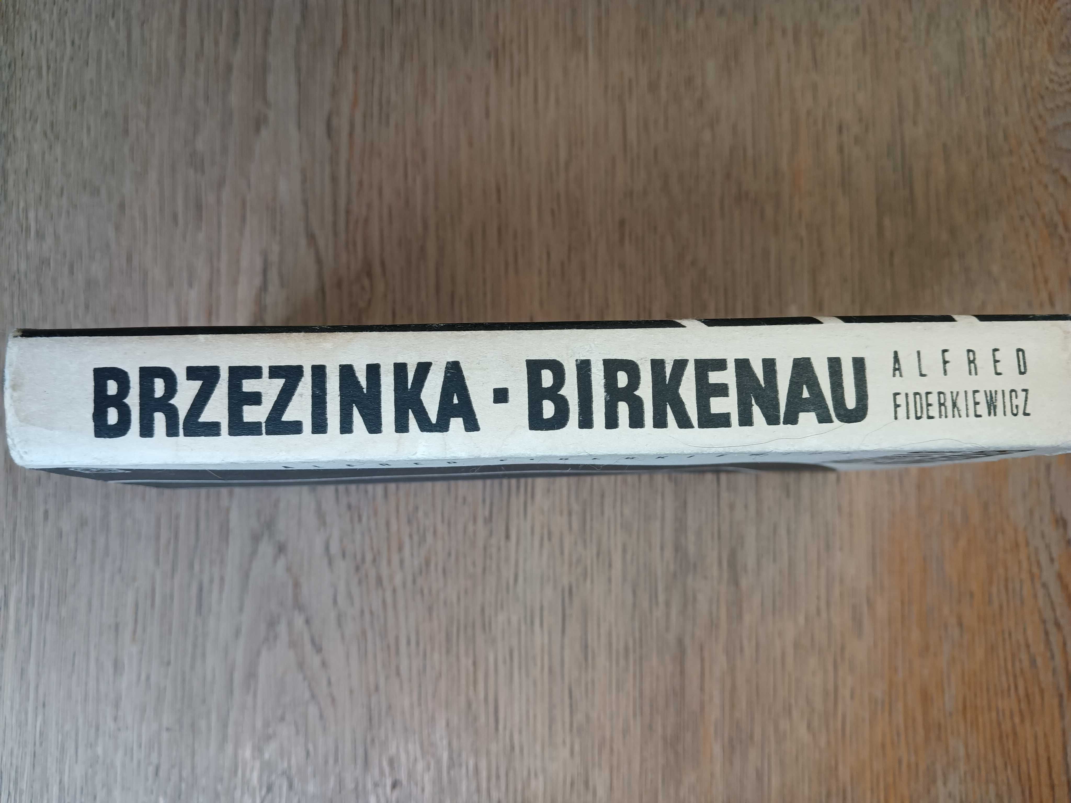 Brzezinka - Birkenau Wspomnienia z obozu Alfred Fiderkiewicz 1965 r