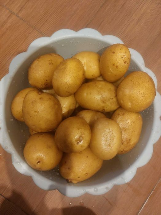 Sprzedam ziemniaki soraya i queen anne