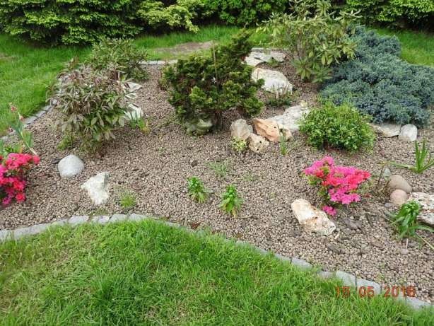 Keramzyt - materiał do zastosowania w ogrodnictwie i uprawie roślin