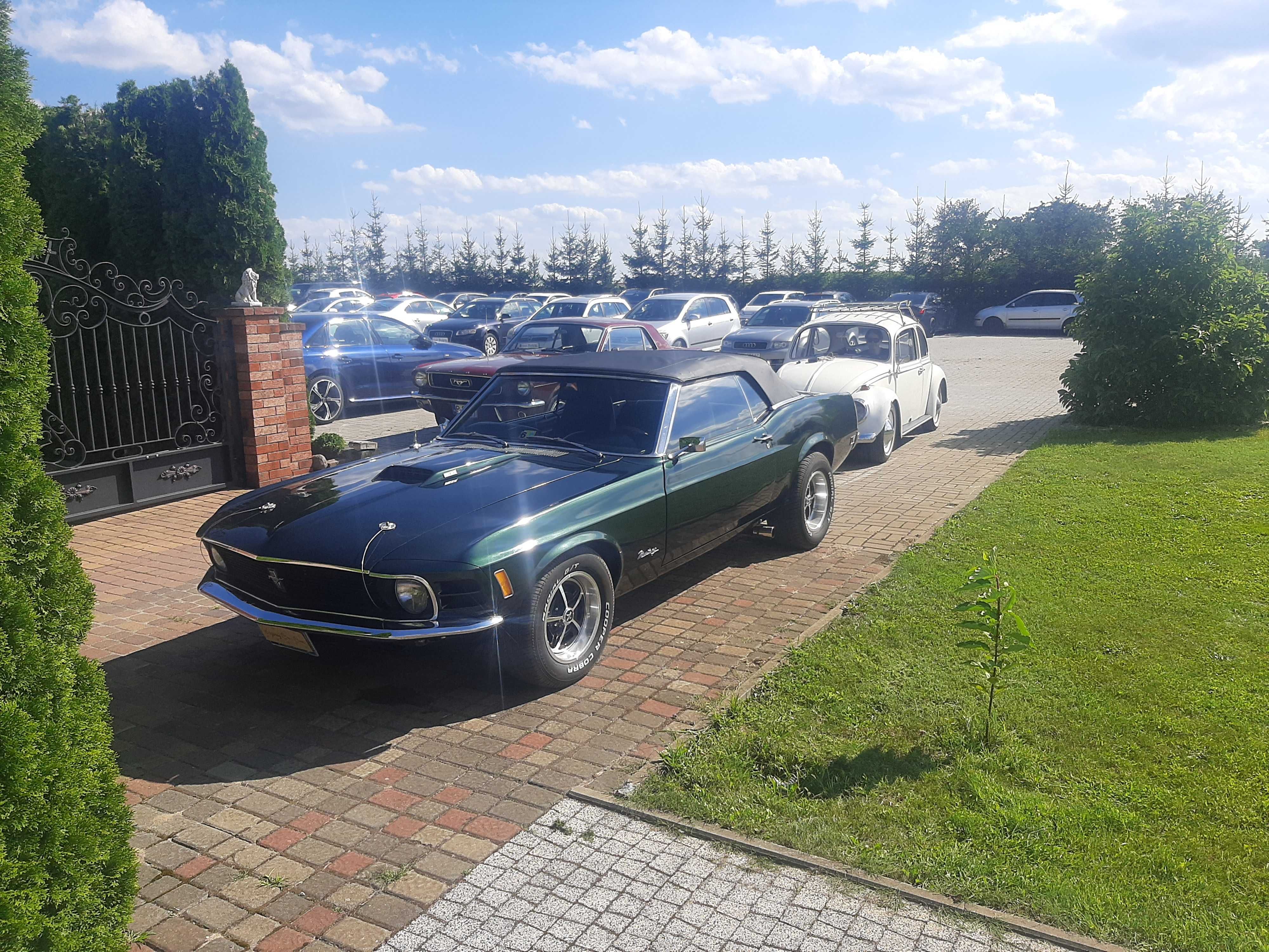 Auto Auta do ślubu Mustang wesele klasyk wolne terminy 2025 r.