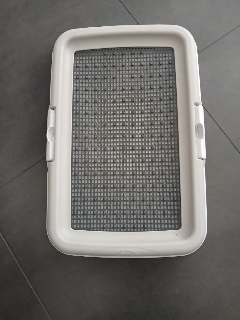 Tapete higiénico cães