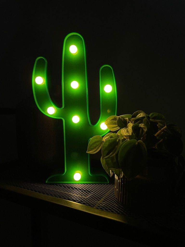 Lampka nocna - kaktus