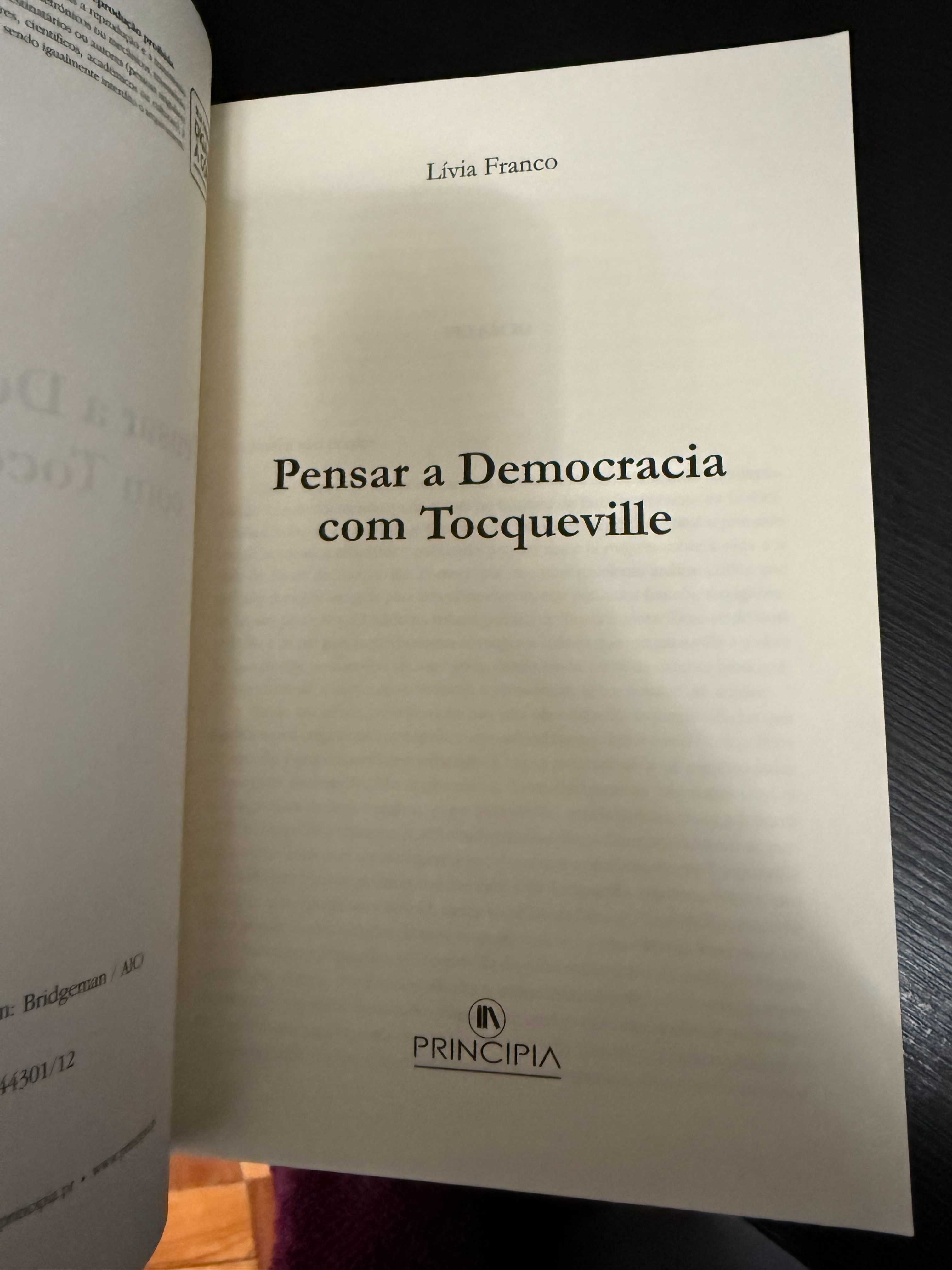 Lívia Franco – Pensar A Democracia Com Tocqueville