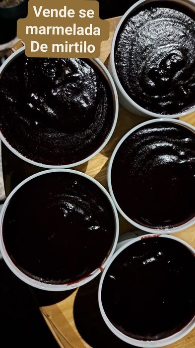 Vendo marmelada de mirtilo 500gr