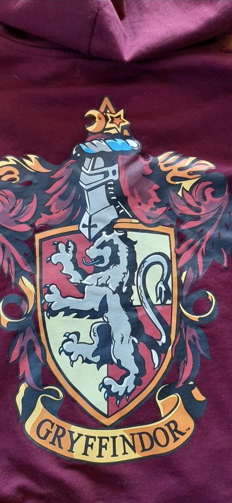 Bluza Harry Poter  Gryffindor Sinsay r.M