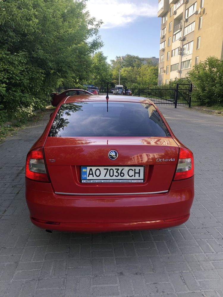 Skoda Oktavia 1.6 дизель 2010 рік