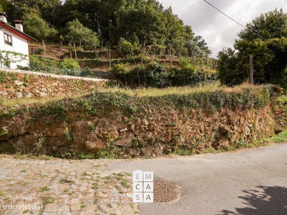 Terreno para construção em Vale de Cambra - Santa Cruz
